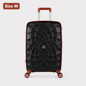 Air Trolley Black & Brown hardshell spinner suitcase - Medium (24")